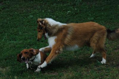 June16_05_316.JPG