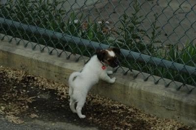 June16_05_005.JPG