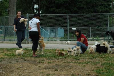 June16_05_008.JPG