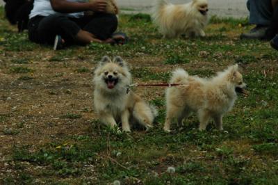 June16_05_011.JPG