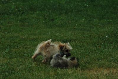 June16_05_019.JPG