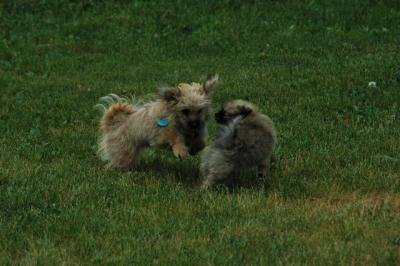 June16_05_020.JPG
