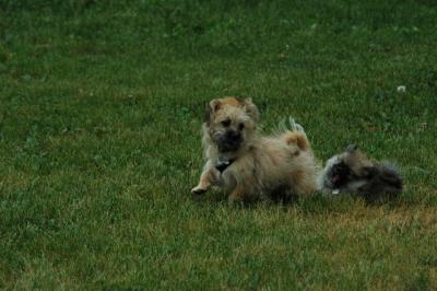 June16_05_021.JPG