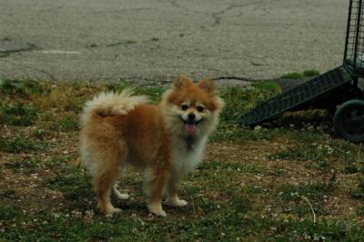 June16_05_025.JPG