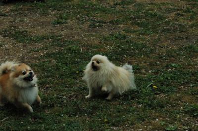June16_05_045.JPG