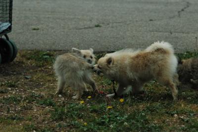 June16_05_048.JPG