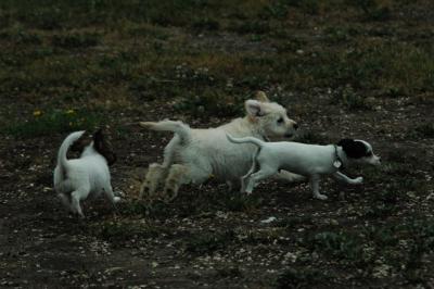 June16_05_055.JPG