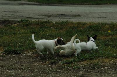 June16_05_056.JPG