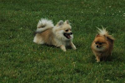 June16_05_058.JPG