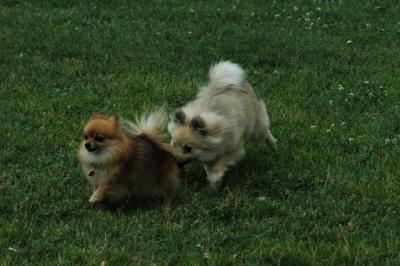 June16_05_059.JPG