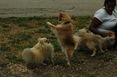 June16_05_067.JPG
