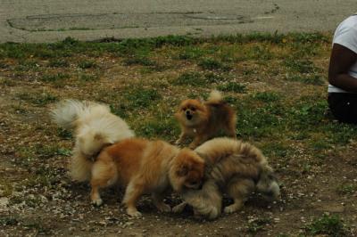 June16_05_076.JPG