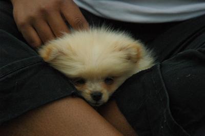 June16_05_086.JPG