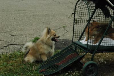 June16_05_090.JPG