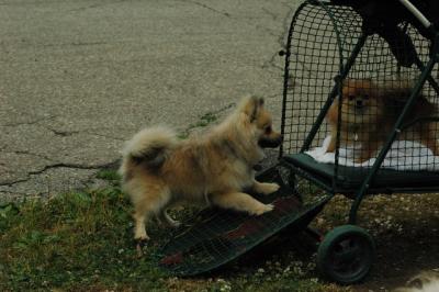 June16_05_092.JPG