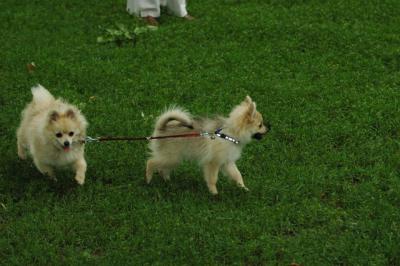 June16_05_118.JPG