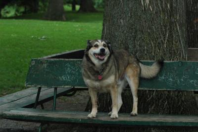 June16_05_131.JPG