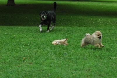 June16_05_163.JPG