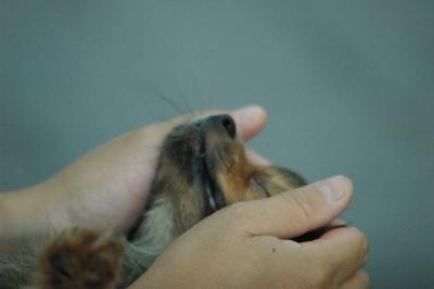 June20_05_039.JPG