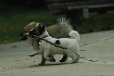 June21_05_230.JPG