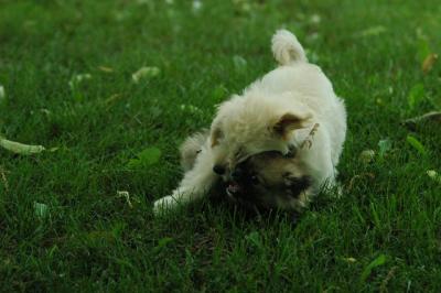 June21_05_239.JPG