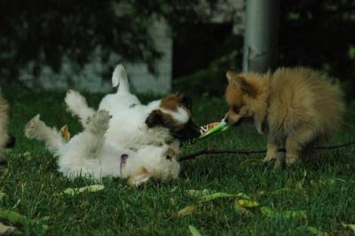 June21_05_258.JPG