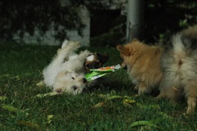 June21_05_259.JPG