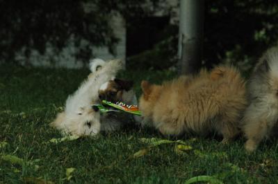 June21_05_260.JPG