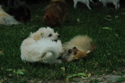 June21_05_288.JPG