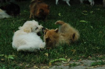 June21_05_290.JPG