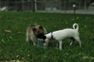 June21_05_311.JPG