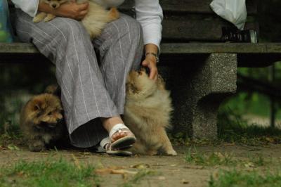 June21_05_318.JPG