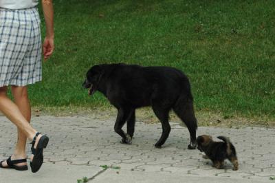 June21_05_373.JPG