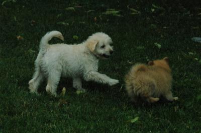 June21_05_374.JPG