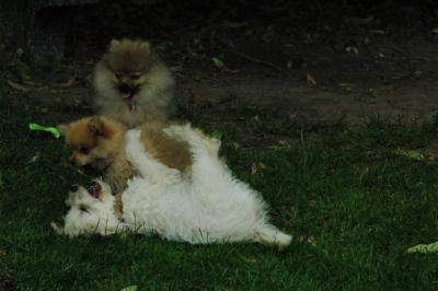 June21_05_380.JPG