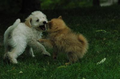 June21_05_385.JPG