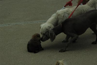 June21_05_393.JPG