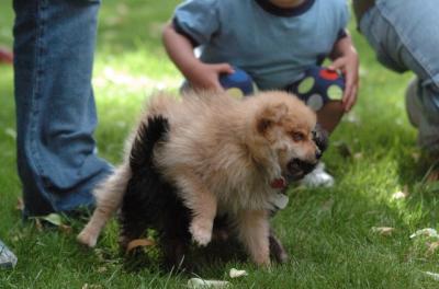 July1a_05_007.JPG