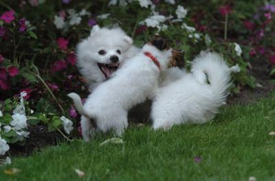 July1a_05_010.JPG