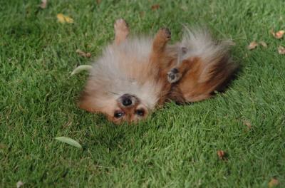 July1a_05_012.JPG
