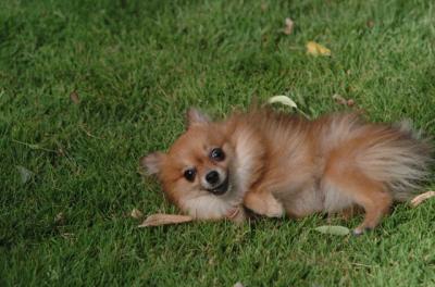 July1a_05_020.JPG