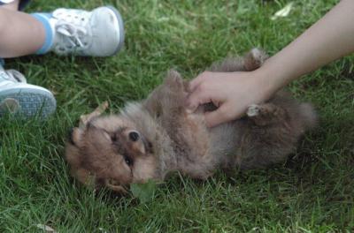 July1a_05_028.JPG
