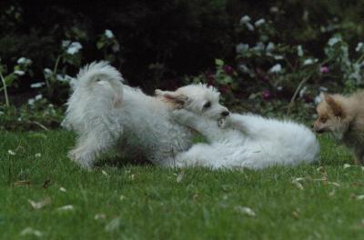 July1a_05_036.JPG