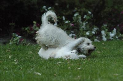 July1a_05_038.JPG