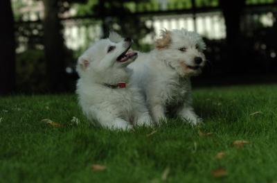 July1a_05_044.JPG