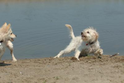 July21_05_299.JPG