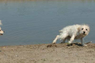 July21_05_300.JPG