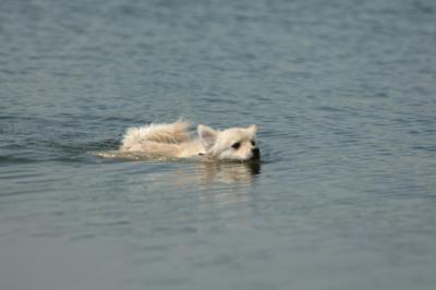 July21_05_311.JPG