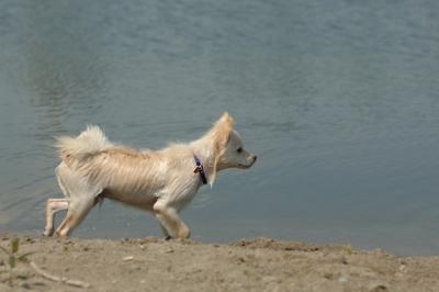 July21_05_314.JPG