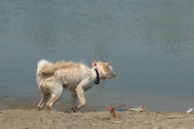 July21_05_316.JPG